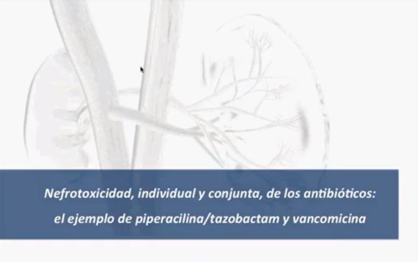Nefrotoxicidad, individual y conjunta de los antibióticos